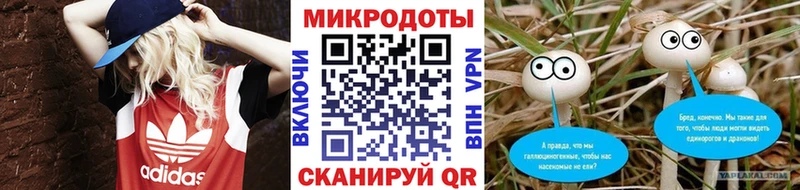 Галлюциногенные грибы Magic Shrooms  цена   Калуга 
