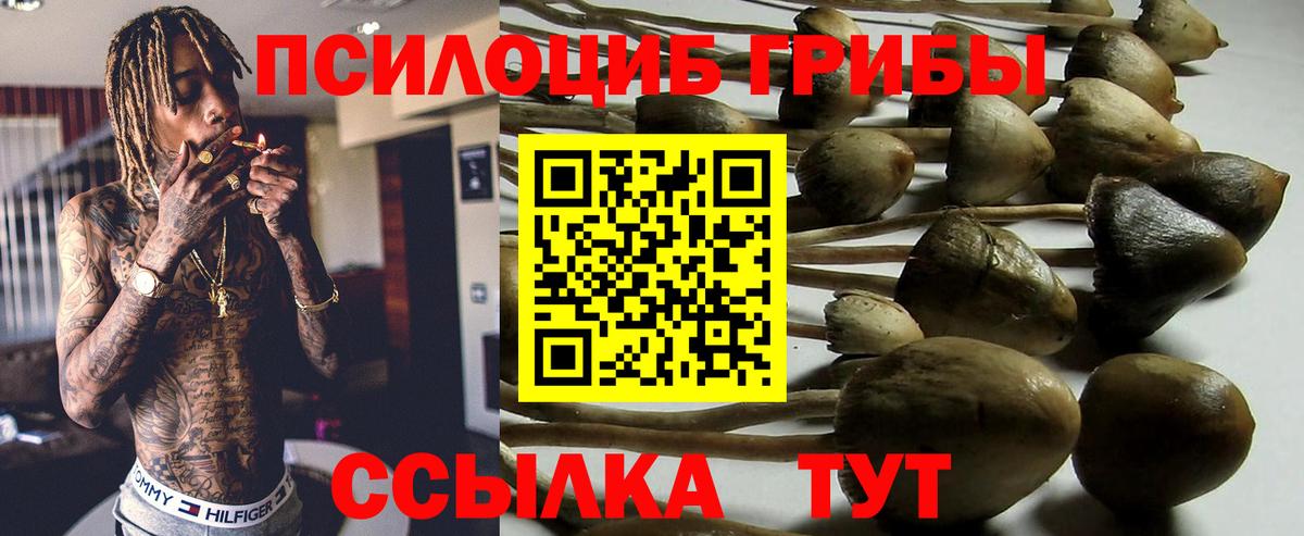 Псилоцибиновые грибы мицелий  Вход с VPN  как найти закладки  Калуга 