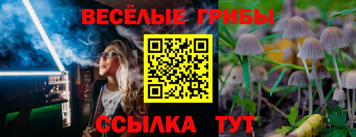 Псилоцибиновые грибы Psilocybine cubensis Калуга